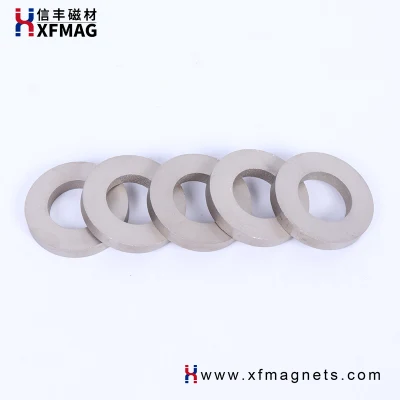 China Supplier Samarium Cobalt Magnetic Rare Earth SmCo Ring Customized Strong Magnet