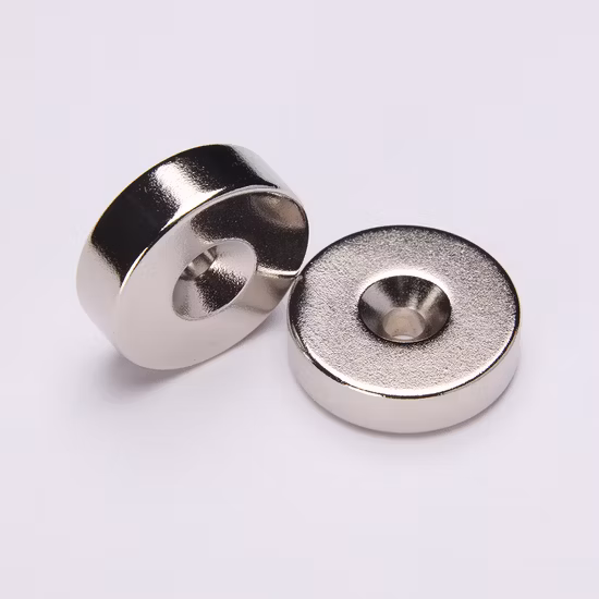 Ring Bonded Industrial NdFeB Magnets